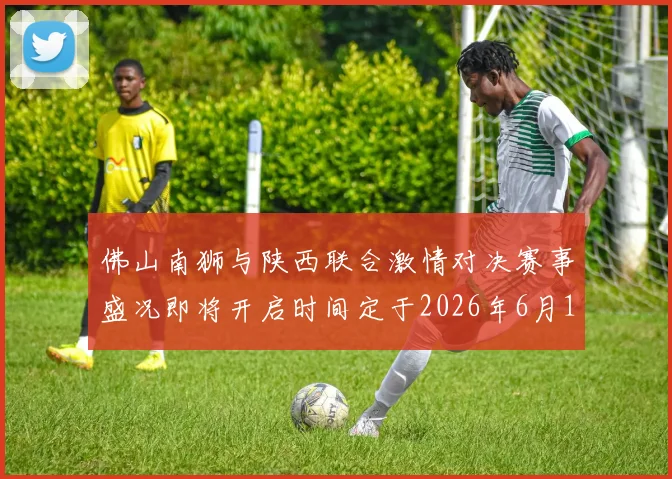 佛山南狮与陕西联合激情对决赛事盛况即将开启时间定于2026年6月14日周日晚上七点半