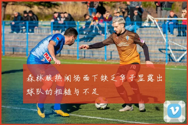 森林狼热闹场面下缺乏华子显露出球队的粗糙与不足
