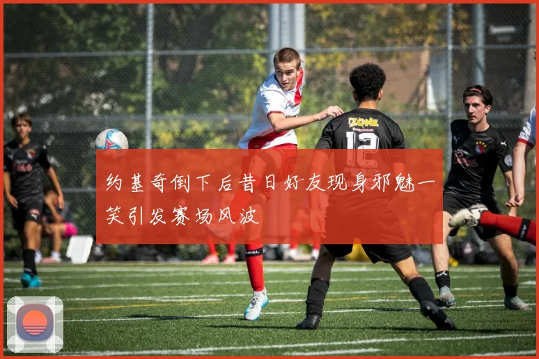 约基奇倒下后昔日好友现身邪魅一笑引发赛场风波